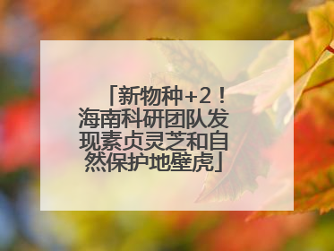 新物种+2！海南科研团队发现素贞灵芝和自然保护地壁虎